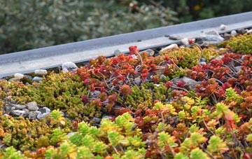 the cost of Thornton Le Dale green roof installation
