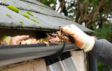 gutter cleaning Thornton Le Dale, North Yorkshire