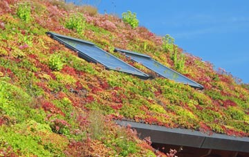 Thornton Le Dale living roof systems