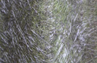 Thornton Le Dale fibreglass roof work